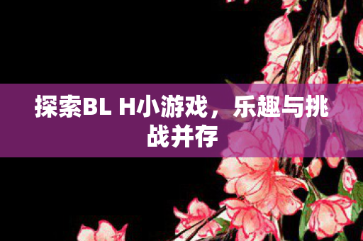 探索BL H小游戏图片