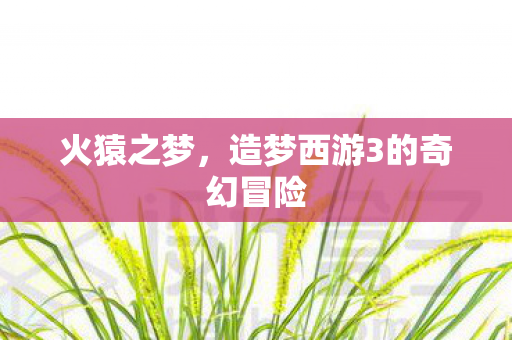造梦西游3的奇幻冒险图片