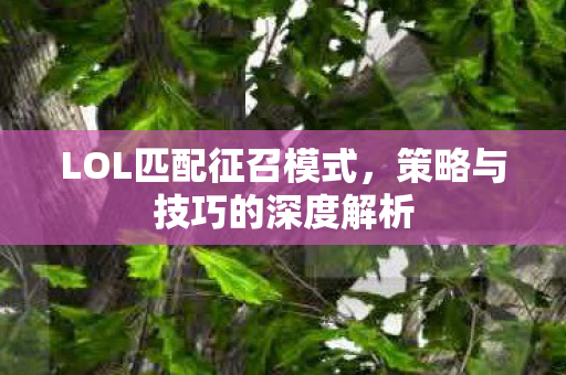 策略与技巧的深度解析图片