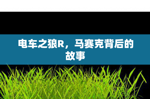 马赛克背后的故事图片