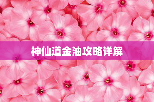 神仙道金油攻略详解图片