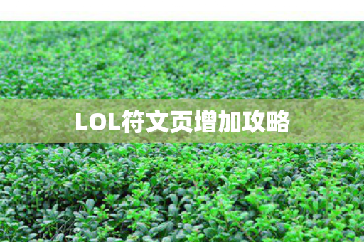 LOL符文页增加攻略图片