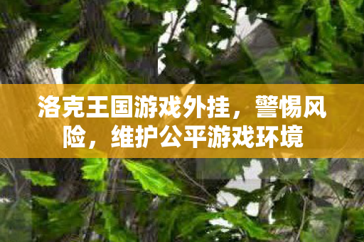 洛克王国游戏外挂图片