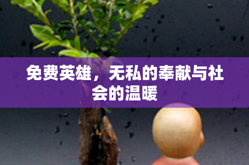 无私的奉献与社会的温暖图片