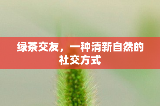 一种清新自然的社交方式图片