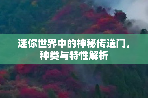 迷你世界中的神秘传送门图片