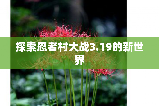 探索忍者村大战3图片