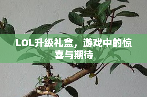游戏中的惊喜与期待图片