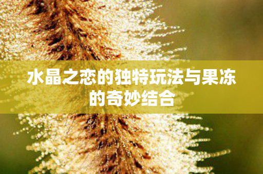 水晶之恋的独特玩法与果冻的奇妙结合图片