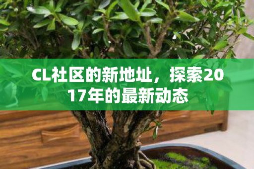 探索2017年的最新动态图片