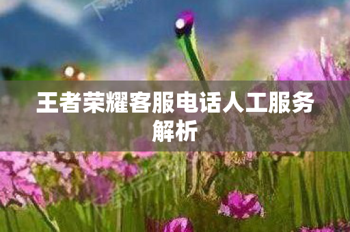 王者荣耀客服电话人工服务解析图片