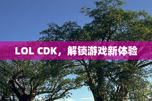 LOL CDK图片