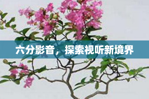 探索视听新境界图片