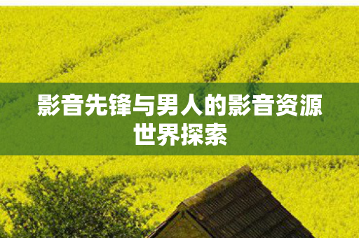 影音先锋与男人的影音资源世界探索图片