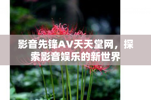 影音先锋AV天天堂网图片