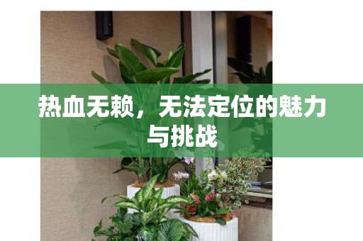 无法定位的魅力与挑战图片