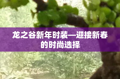 迎接新春的时尚选择图片