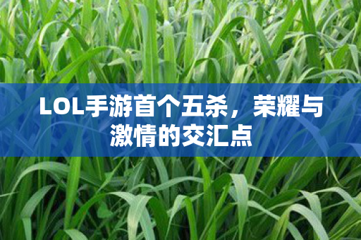 LOL手游首个五杀图片