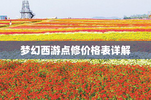 梦幻西游点修价格表详解图片