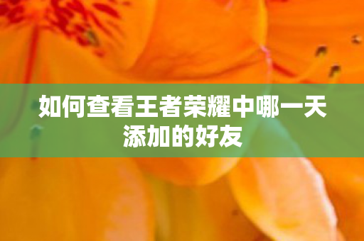 如何查看王者荣耀中哪一天添加的好友图片