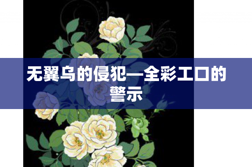 全彩工口的警示图片