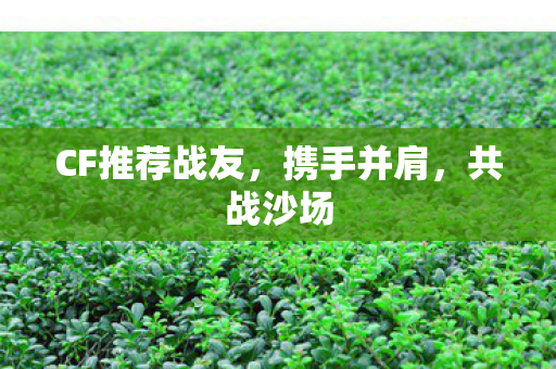 CF推荐战友图片