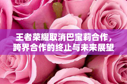 跨界合作的终止与未来展望图片
