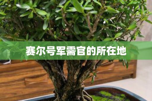 赛尔号军需官的所在地图片