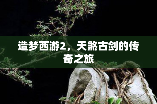 天煞古剑的传奇之旅图片