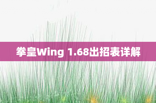 拳皇Wing 1图片