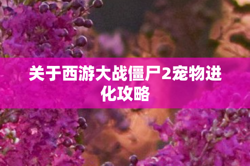 关于西游大战僵尸2宠物进化攻略图片