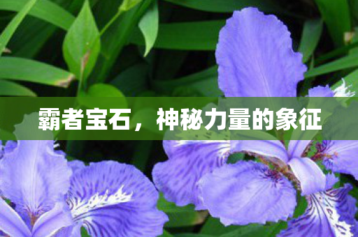神秘力量的象征图片