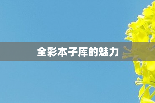 全彩本子库的魅力图片