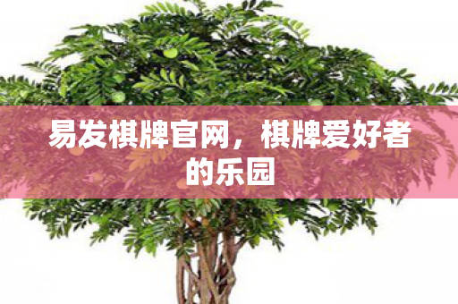 棋牌爱好者的乐园图片