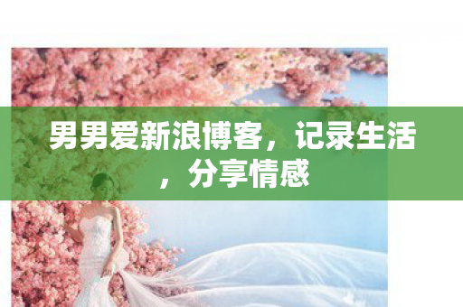 男男爱新浪博客图片