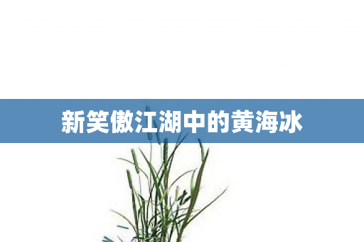 新笑傲江湖中的黄海冰图片