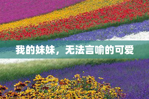 无法言喻的可爱图片