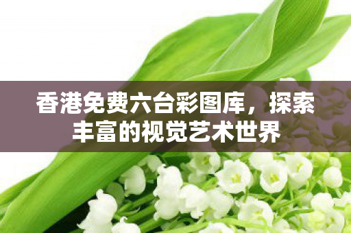 探索丰富的视觉艺术世界图片