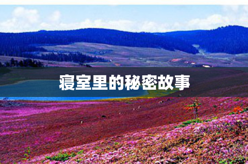 寝室里的秘密故事图片