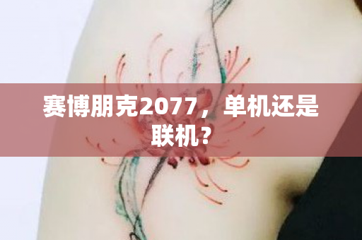 赛博朋克2077图片