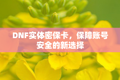 保障账号安全的新选择图片