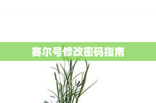 赛尔号修改密码指南图片