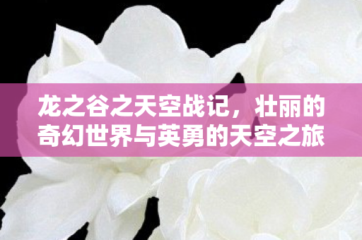 壮丽的奇幻世界与英勇的天空之旅图片