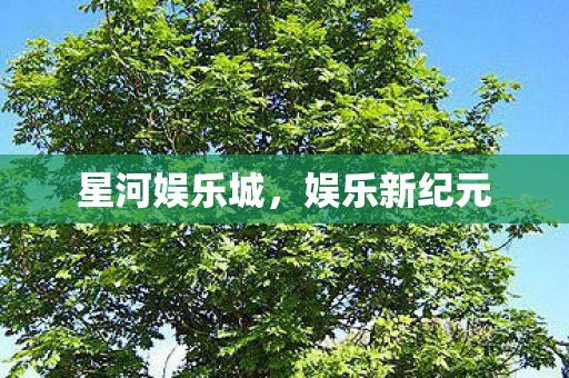 星河娱乐城图片