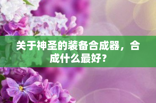 关于神圣的装备合成器图片
