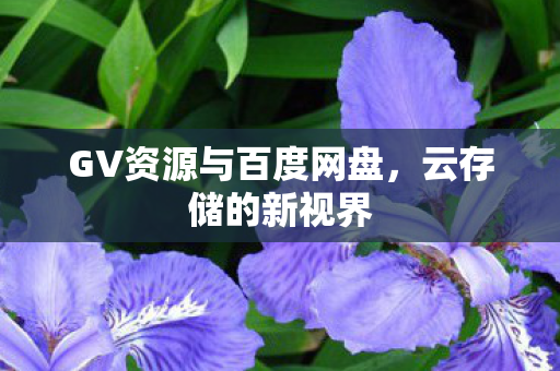 GV资源与百度网盘图片
