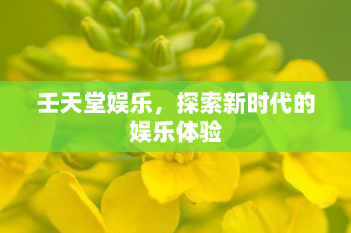 探索新时代的娱乐体验图片