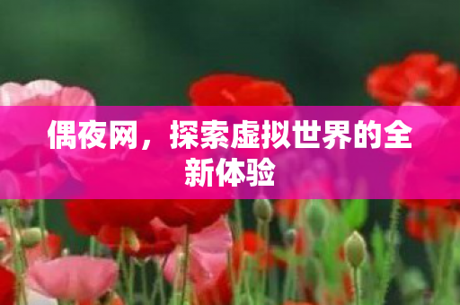 探索虚拟世界的全新体验图片