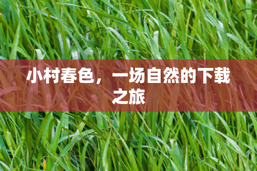 一场自然的下载之旅图片