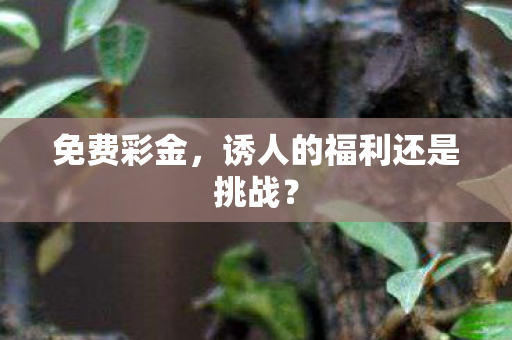 诱人的福利还是挑战图片